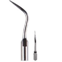 15X Scaler ultrassônico dental Perio Scaling tip P1 P3 P4 fit SKL EMS Woodpecker Handpiece Pp15