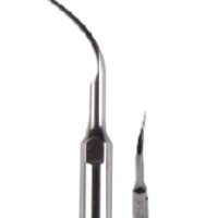 15X Dental Ultraschall Scaler Perio Skalierungsspitze P1 P3 P4 passend für SKL EMS Spechthandstück Pp15