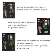 Woodpecker Dental Endodontic Apex Locator Root Canal Finder CE FDA Woodpex III