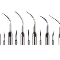 30X Puntas de escala de escalador ultrasónico dental G1, G2, G3, G4, G5, G6 Fit SKL EMS Woodpecker Handpiece Gp30