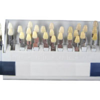 Mestre Guia Dental Vita Vitapan Dentes Sombra dentadura 3D 29 Cor Shades CE FDA Aprovado