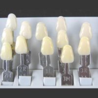 Maestro dentales de la guía Vita Vitapan dientes de la dentadura Shade 3D 29 Tonalidades CE aprobado por la FDA