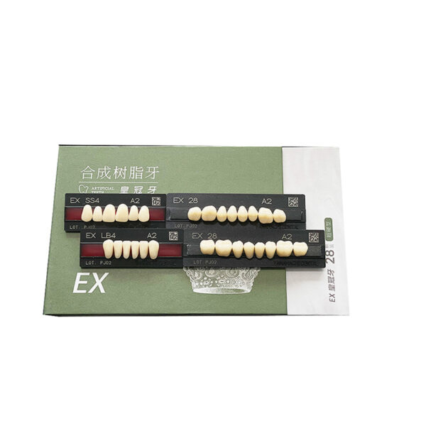 EX Super Hard Synthetic Resin Dental Teeth – Universal Sizes for Durable Prosthetics - Bild 2