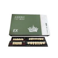 EX Super Hard Synthetic Resin Dental Teeth – Universal Sizes for Durable Prosthetics